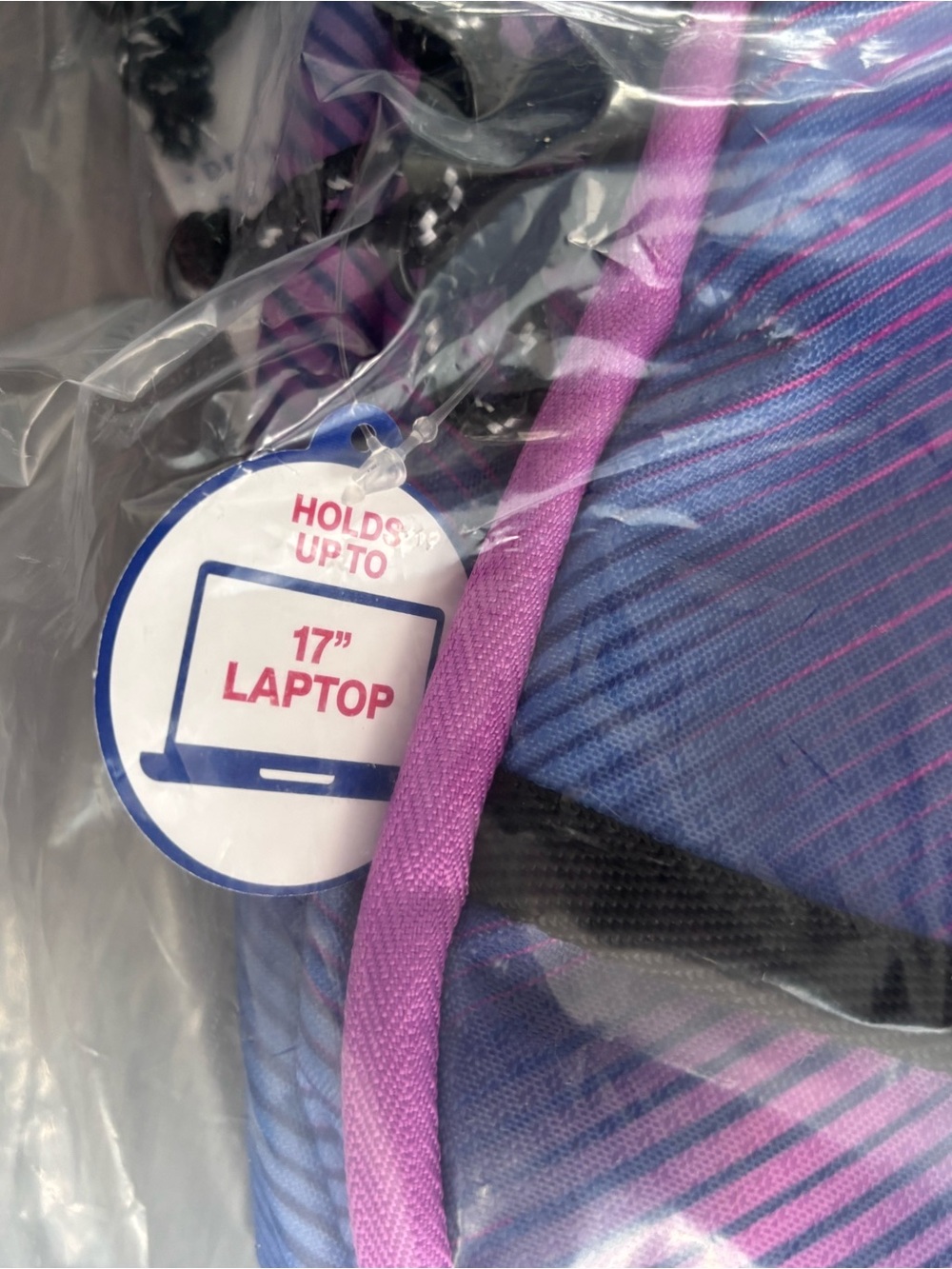 Champion Blue & Pink Backpack - Picture 4 of 5
